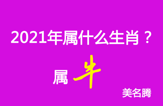 2021年屬什么生肖？2021年屬牛