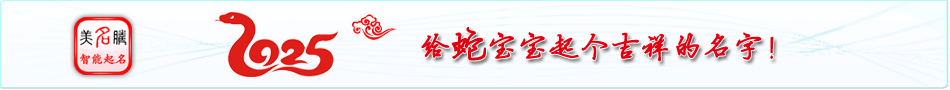 2025蛇年寶寶起名字大全